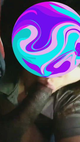 bbc big dick blowjob gif