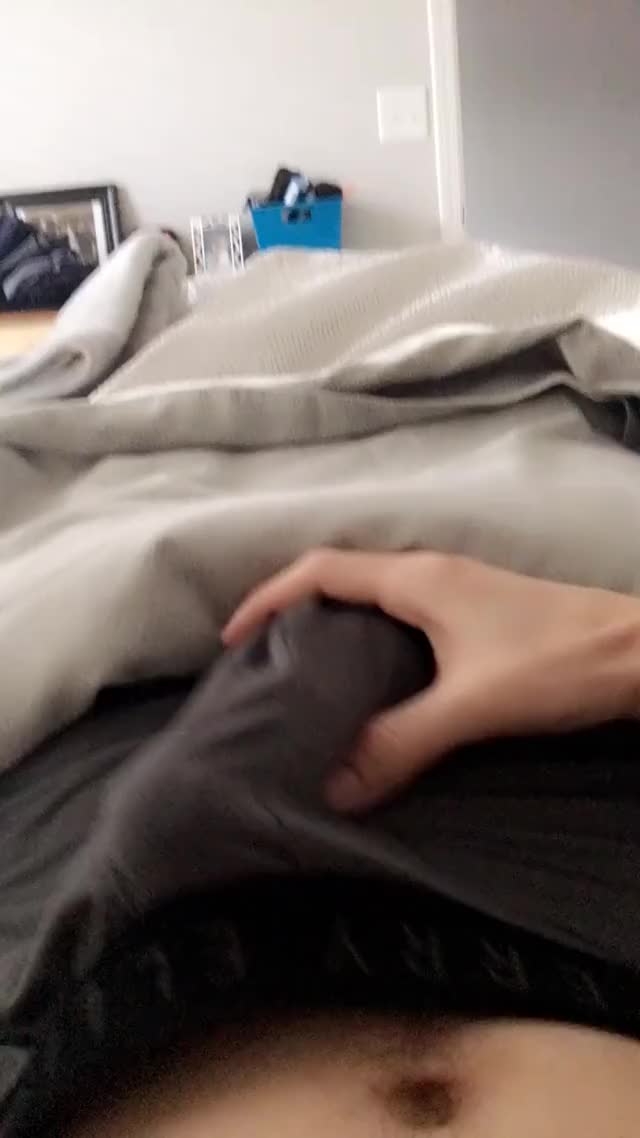 IMG 1267