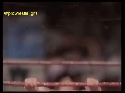 Warrior Entrance