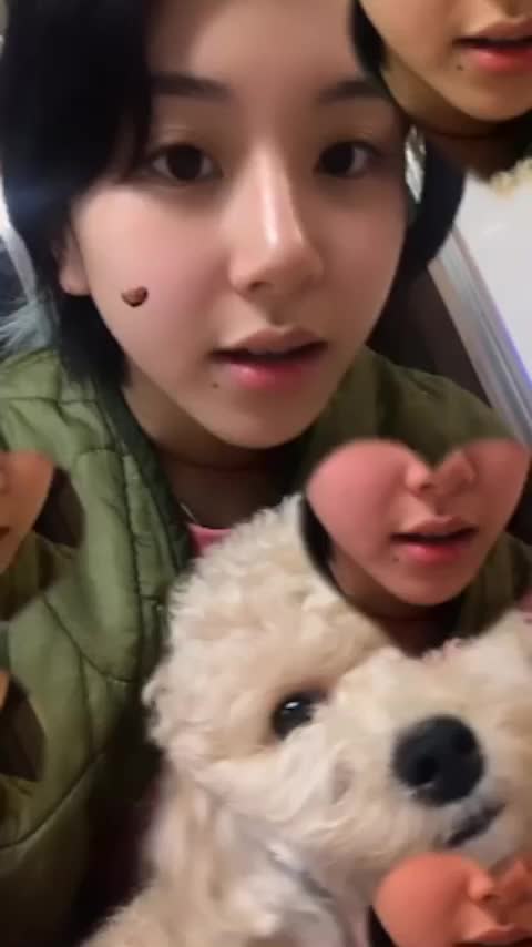 Chaeyoung Dog