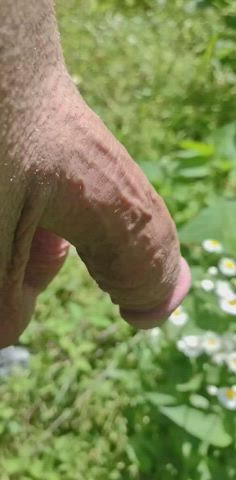 Nude outdoors and loving it! Very flaccid. (part 1/2)
