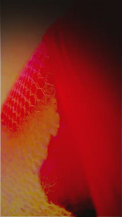 Ass Fishnet Sissy Thick gif