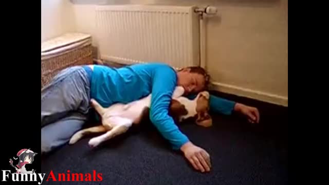 Dogs Sleeping with Owners 05