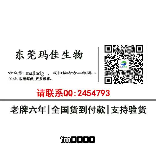 fm哪里有卖【货到付款Q:２４５４７９３】