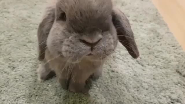 ??!!