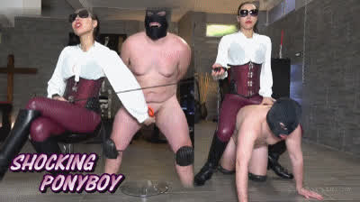 ballbusting boots cumshot licking mistress whipping gif