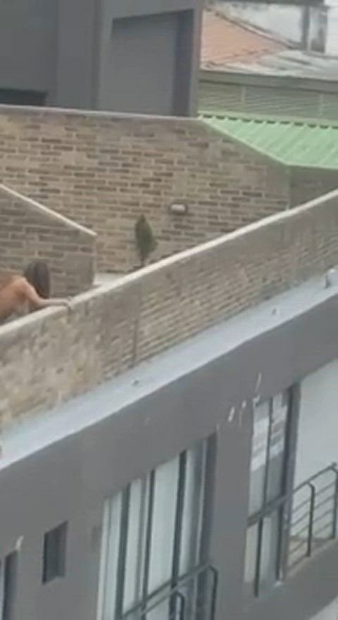 amateur fuck lesbian lesbians public sex spy strap on voyeur gif