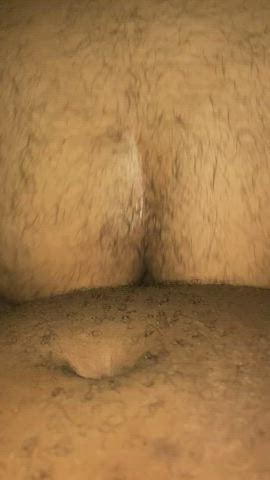 Breeding Hairy Ass Hairy Cock Porn GIF by nastyfuckerpa