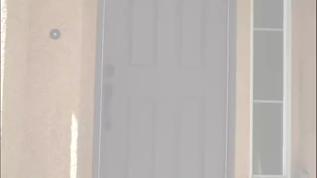 Dee Williams bounded & fucked by stepson