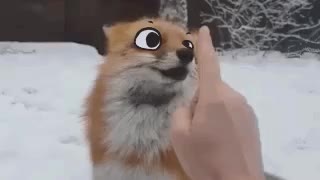 Kéké ? - ᴮᵒᵒᵖ ??✨