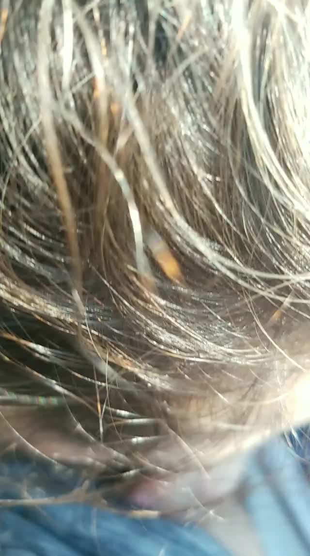Public Blowjob