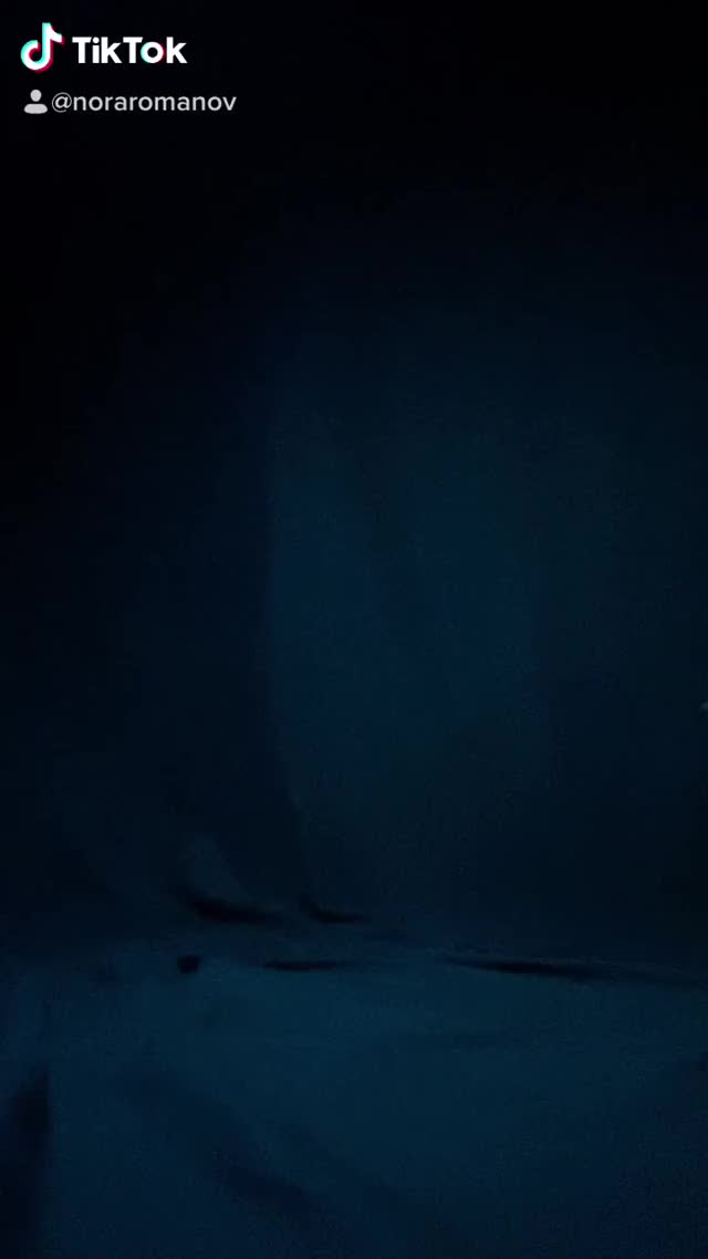 IMG 9714