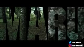 miniVideo