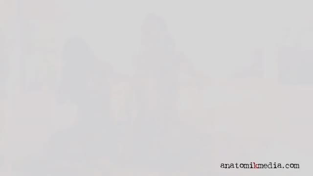 Adriana Chechik, Chanel Preston - Anatomik Media