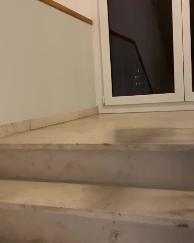 50243430 1982429215395376 8686831824451665920 n