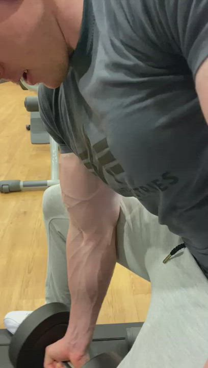 Curls At The Gym