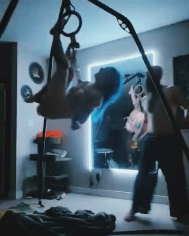 kitten ropes shibari gif