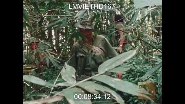 A Shau Valley - 101st Airborne