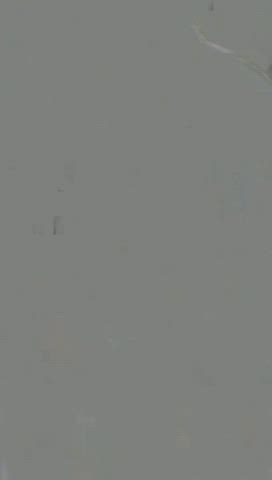 Ass Masturbating Pussy gif