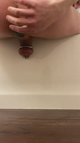 Butt Plug Chastity Femdom gif
