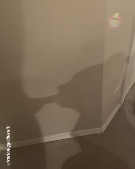 Even her shadow gives amazing head