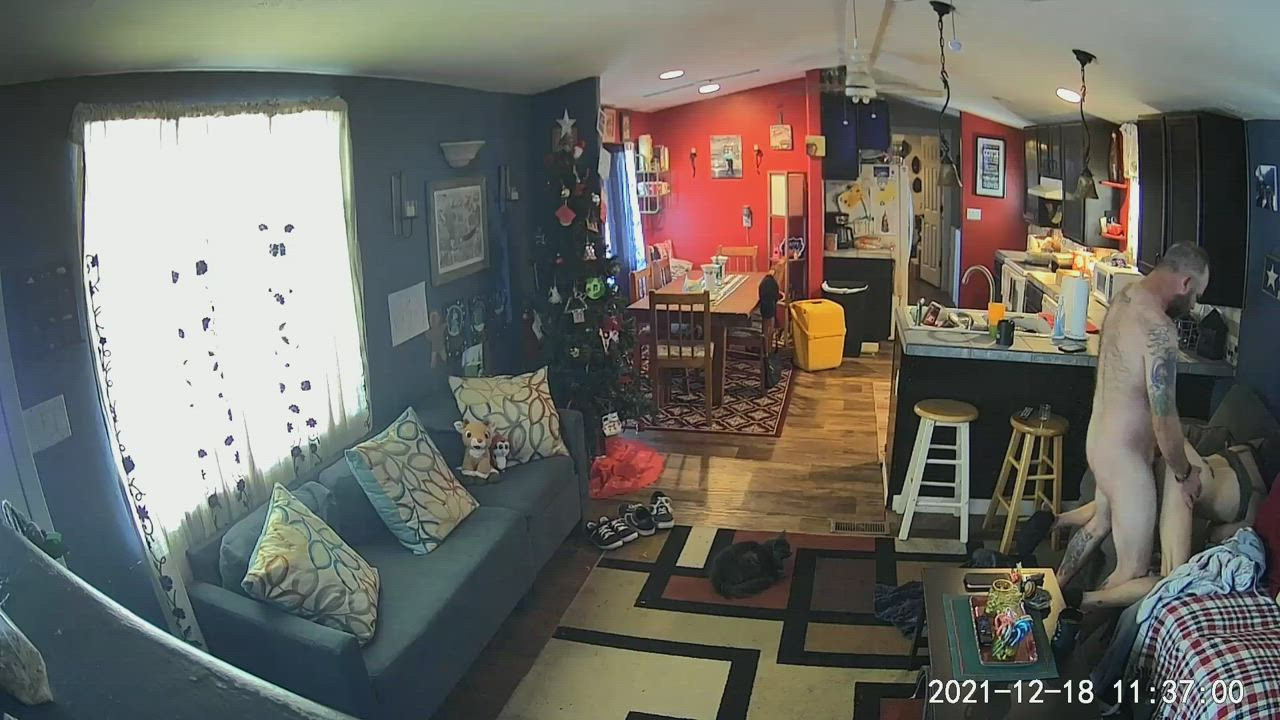 Amateur Creampie Cum Doggystyle Homemade Hotwife gif