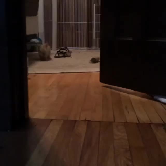 Mommy's home!