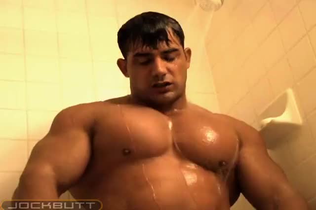muscles