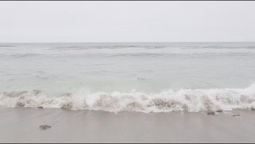 You should swim well or they will save you and fuck
