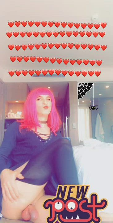 Trans gif