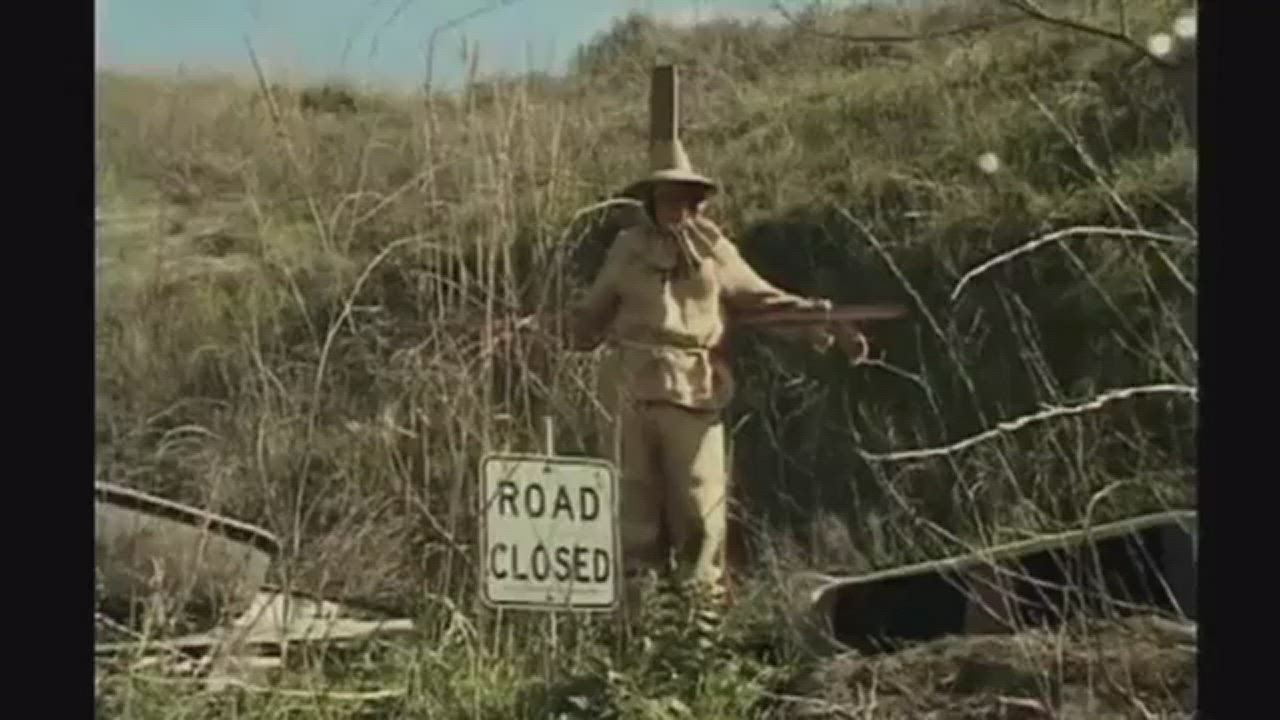 Backdoor Scarecrow