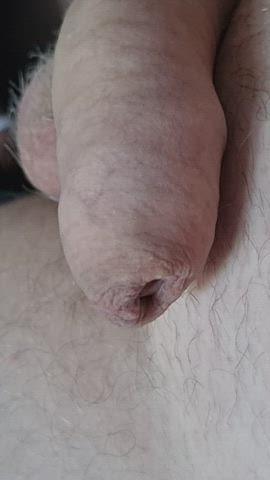 (44) wanne lick it ?