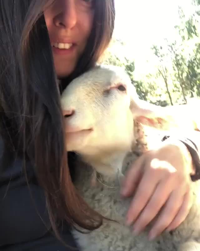 Juniper is a happy girl at Mino Valley Farm Sanctuary