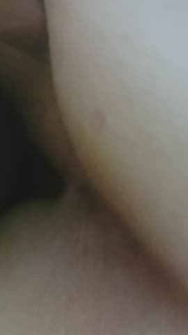 bbc doggystyle homemade gif