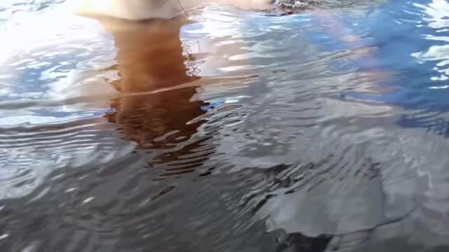 LakeBoobieRun