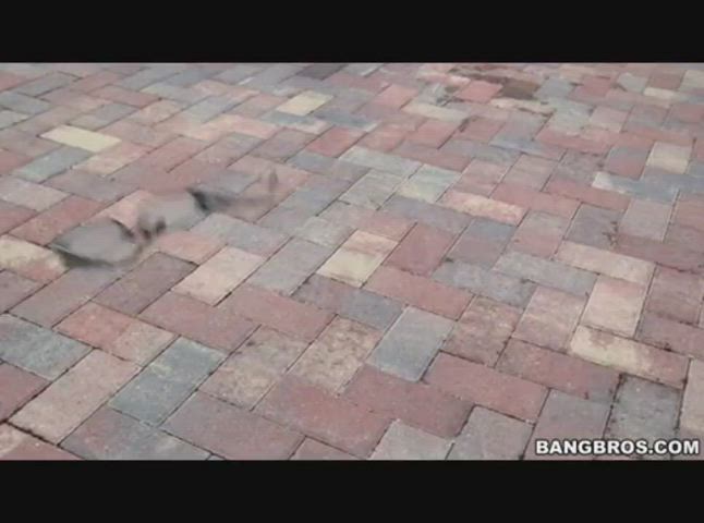 bangbros boyfriend cumshot deep penetration deepthroat double blowjob family girlfriend