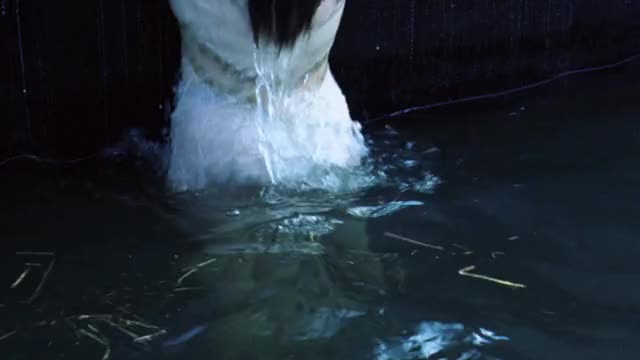 Emily Mortimer - Young Adam - body backstory sequence