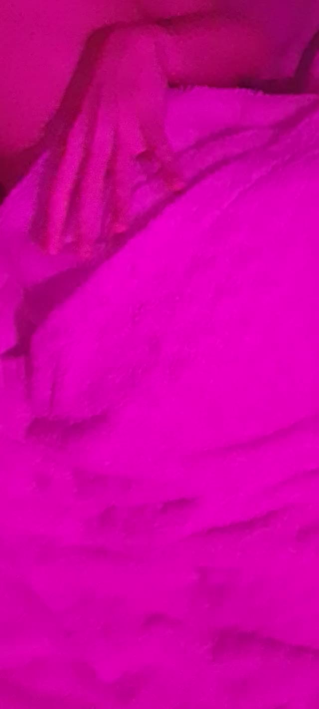 Reveal and Zoom ?