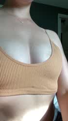 Can I drop these in your face?