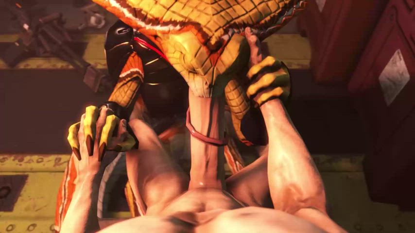 blowjob furries furry nsfw sfm gif
