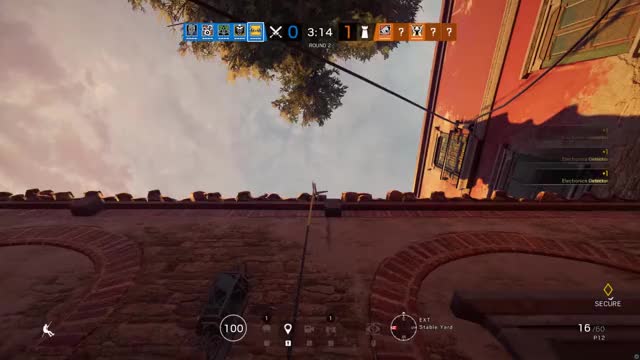 iq
