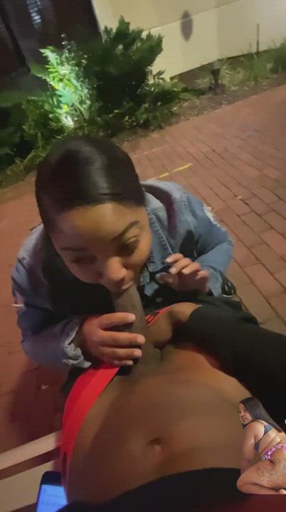 BBC gif
