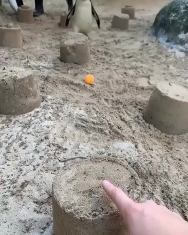 The sandcastle police