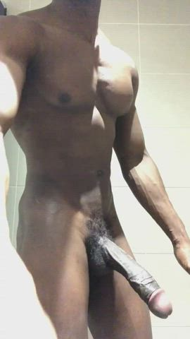 bbc bull selfie gif