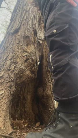 BBW Flashing Outdoor gif