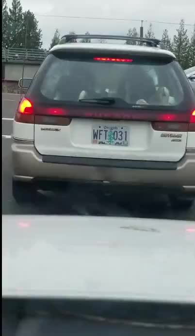What The Duck......