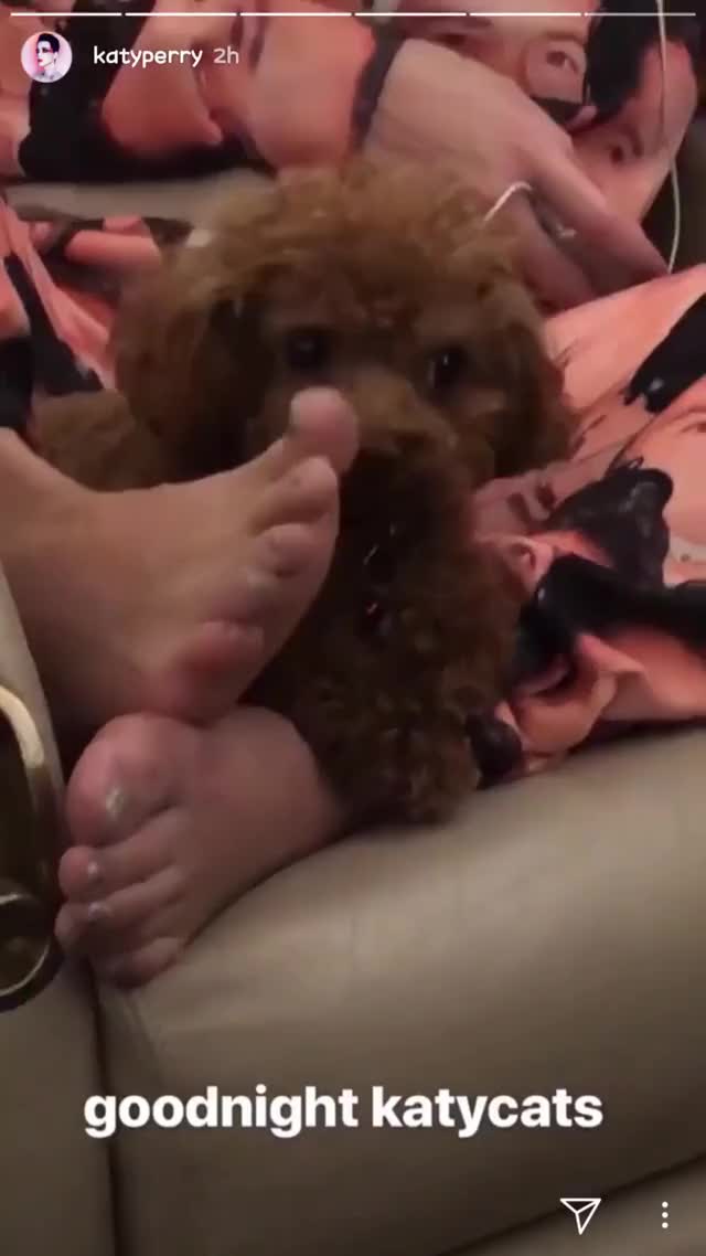 Katy Perry foot lick