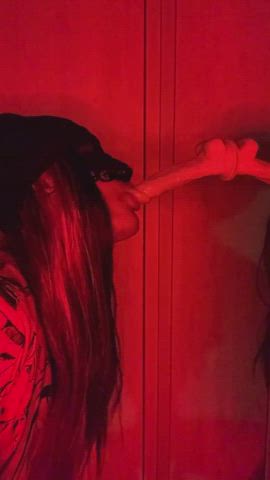 blowjob deepthroat femboy gay nsfw onlyfans solo trans trans woman trap gif