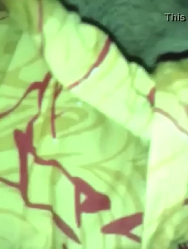 Indian Piss 11