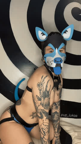 *wags wags wags*